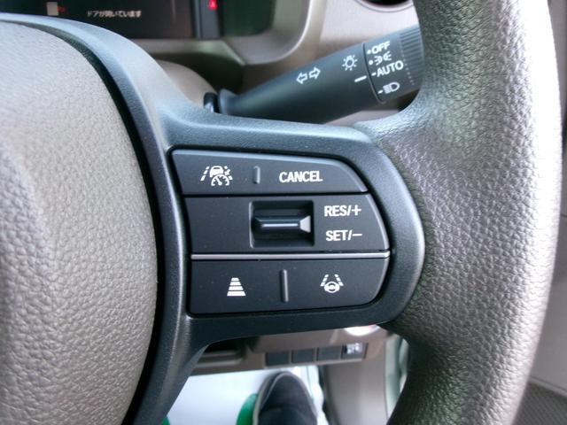 0400046A30260531W00304.jpg