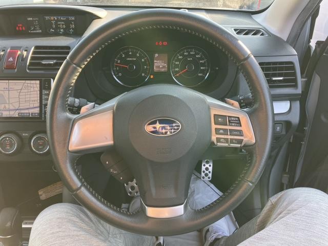 27032541_carP_l_5.jpg