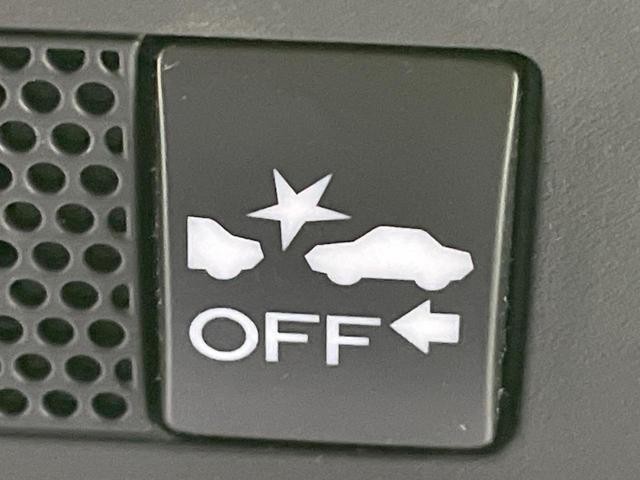 25612532_carP_l_10.jpg