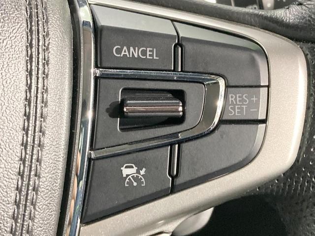 25734407_carP_l_13.jpg