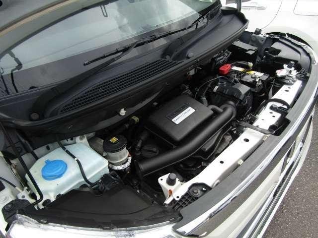 26029432_carP_l_5.jpg