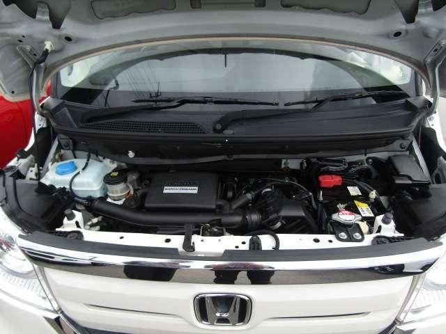 26029432_carP_l_8.jpg
