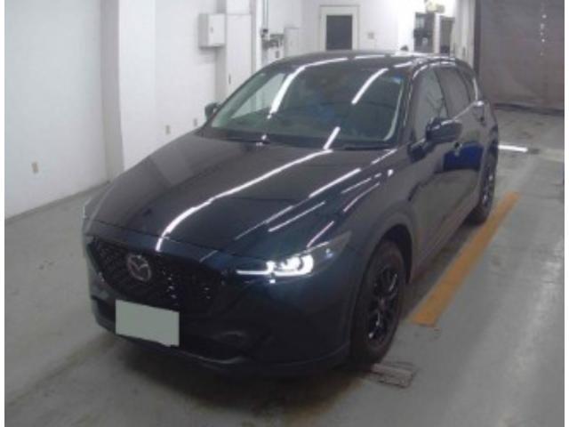 24782265_carP_l_10.jpg