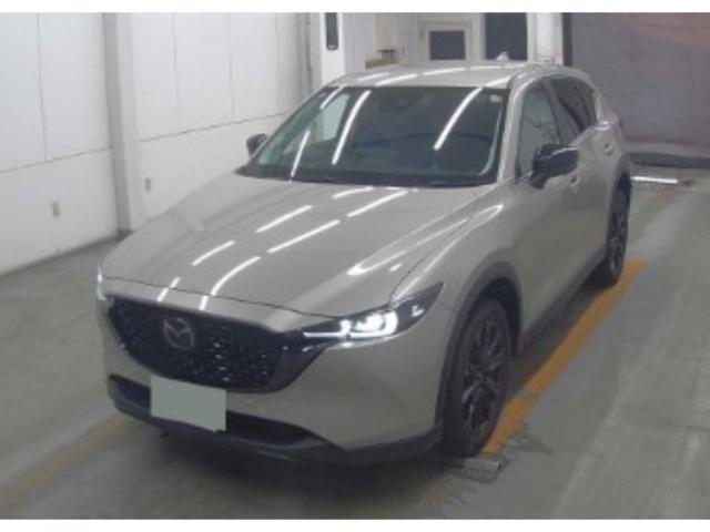 24782266_carP_l_10.jpg