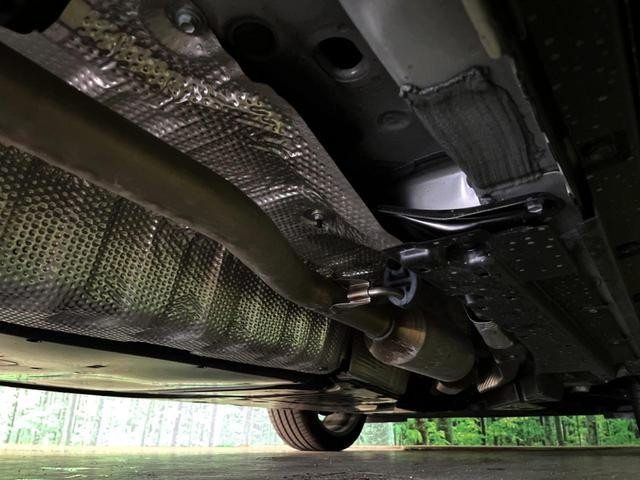 26084355_carP_l_20.jpg
