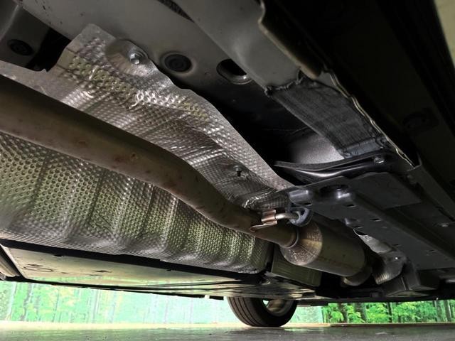 26084356_carP_l_18.jpg