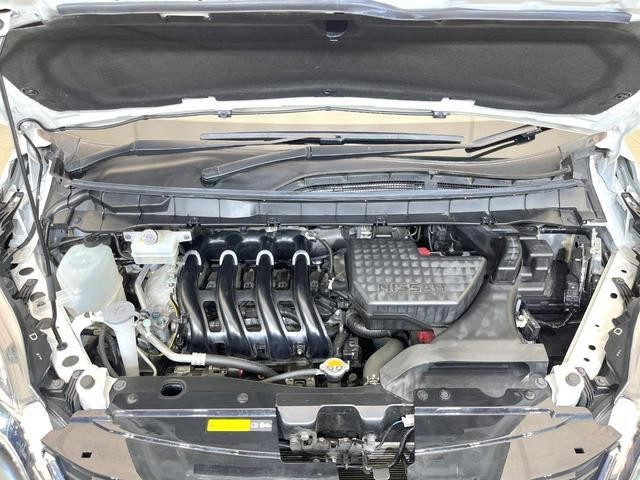 25404676_carP_l_16.jpg