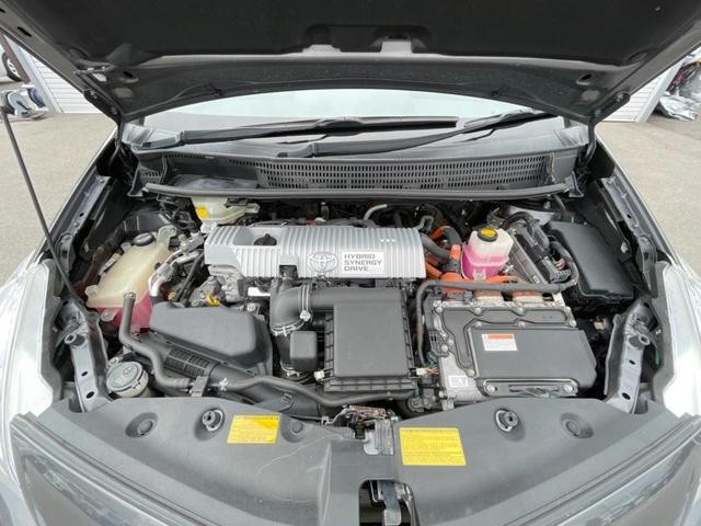 26578648_carP_l_18.jpg