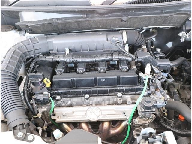 25679203_carP_l_20.jpg