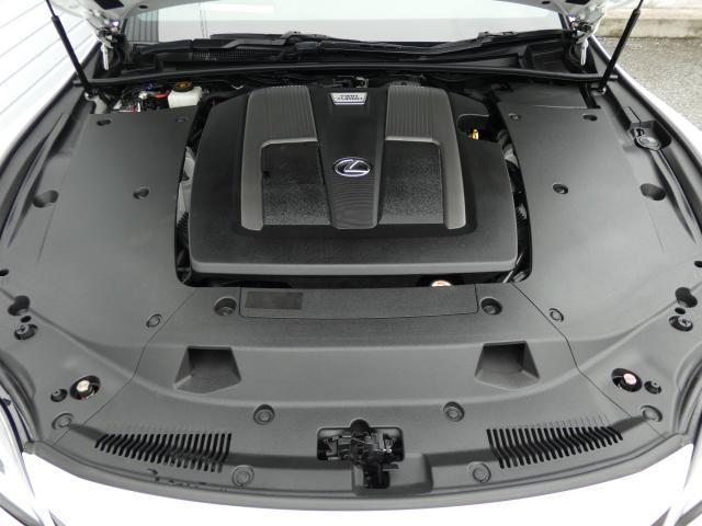 24703235_carP_l_20.jpg