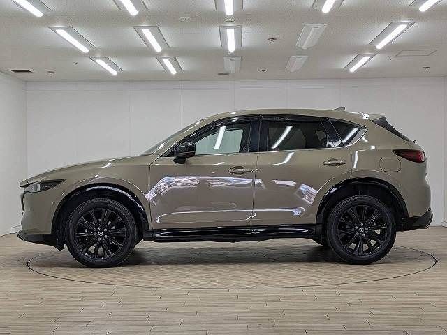63256ce63c5708b52dd2c6788b19d155.jpg