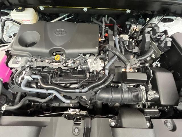 26794030_carP_l_16.jpg