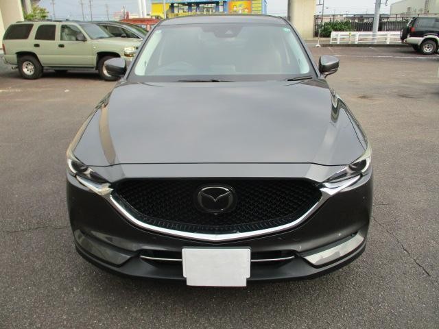 25612847_carP_l_19.jpg
