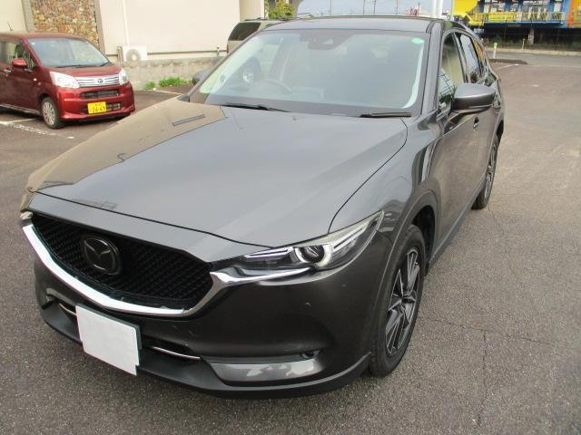 25612847_carP_l_6.jpg