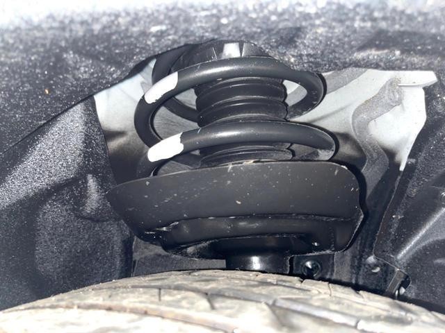 25693930_carP_l_20.jpg