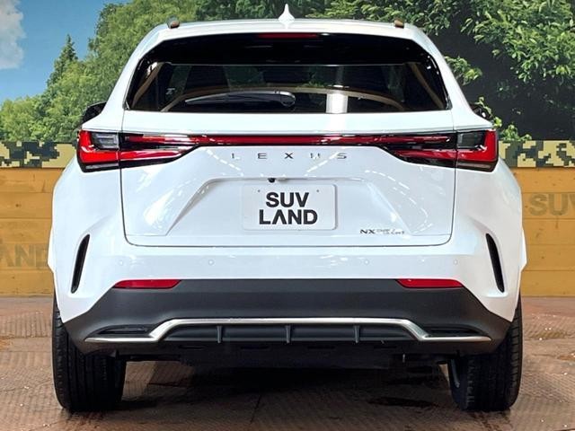 25693930_carP_l_9.jpg