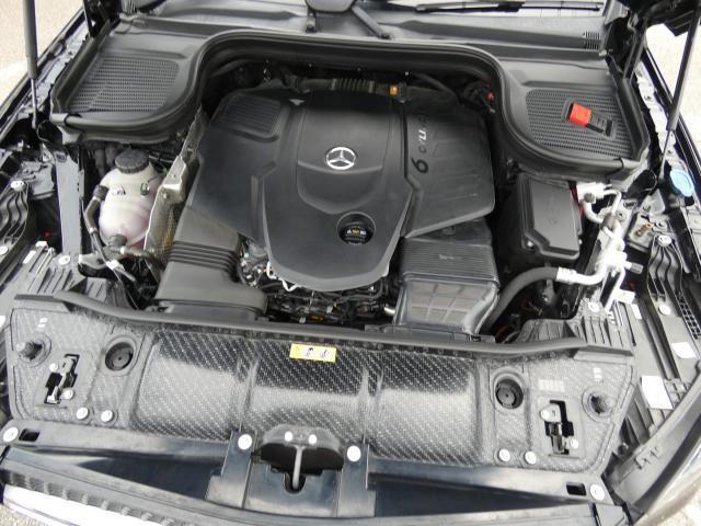24705756_carP_l_20.jpg