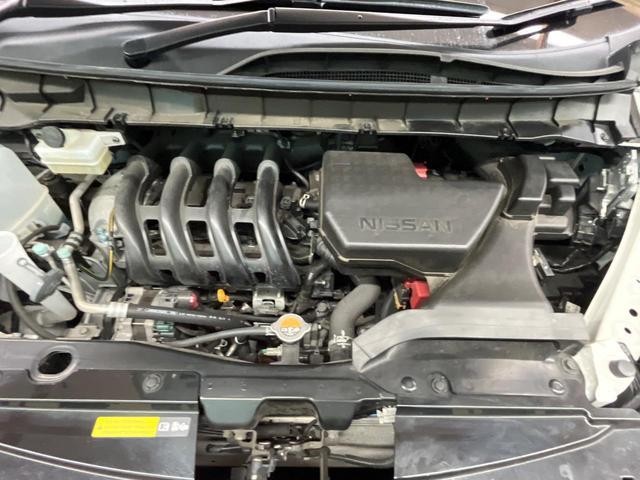 26815977_carP_l_16.jpg