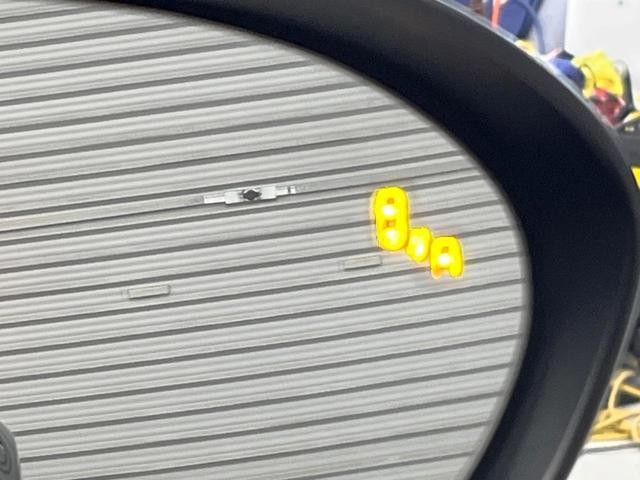 26272614_carP_l_19.jpg