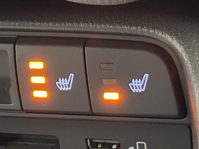 26272614_carP_l_5.jpg