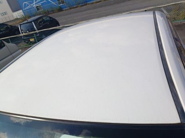 27154093_carP_l_14.jpg