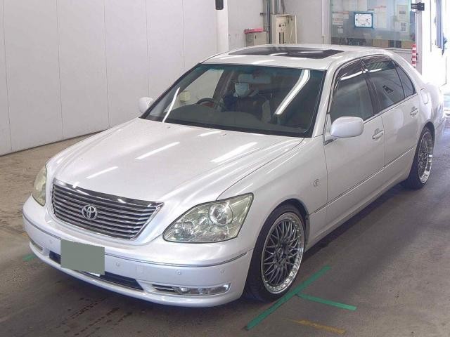 25555417_carP_l_10.jpg