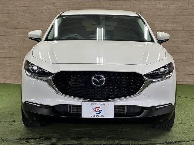 65ffe8f8652cc0523e5e3ba949a263df.jpg