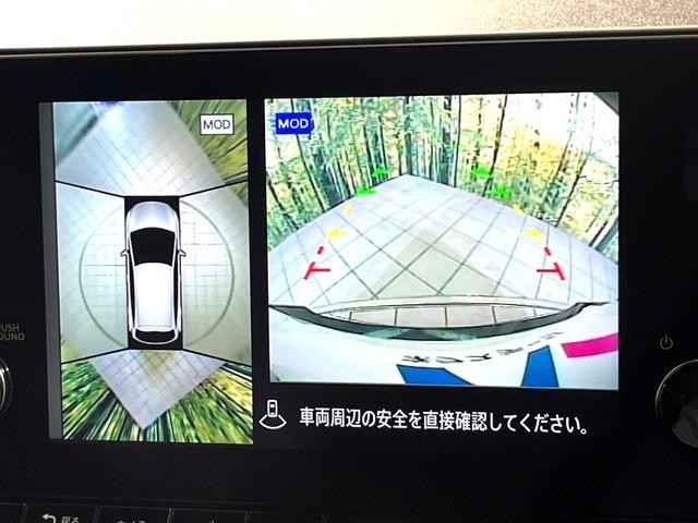 25694228_carP_l_10.jpg