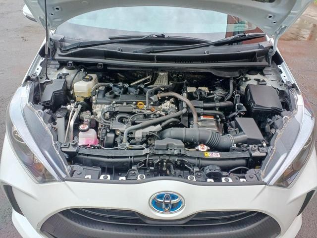 0303954A30260528W00207.jpg