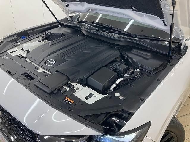25009397_carP_l_16.jpg
