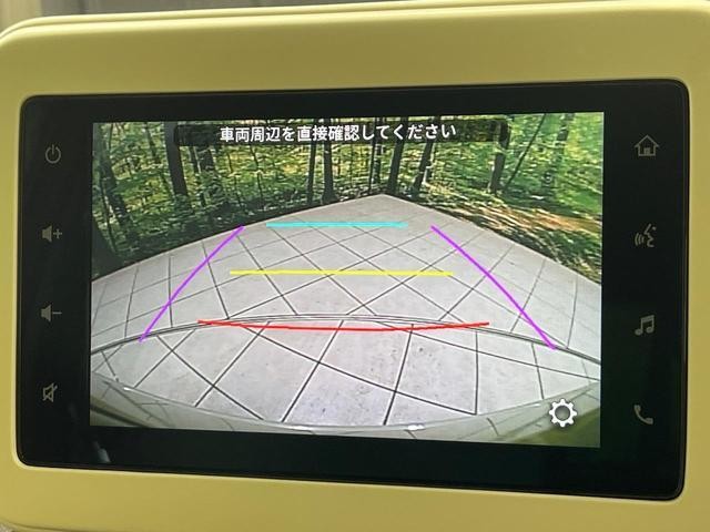 25734524_carP_l_4.jpg