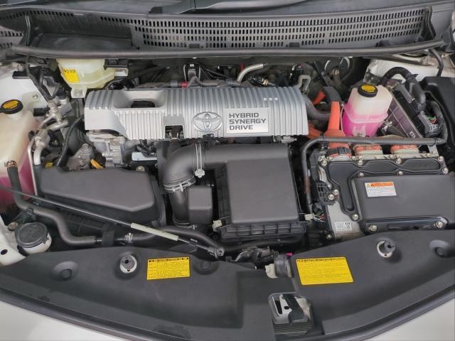 26445824_carP_l_17.jpg