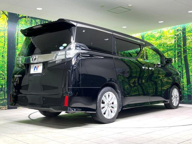 24705853_carP_l_12.jpg