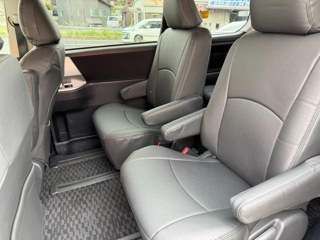 26592936_carP_l_19.jpg