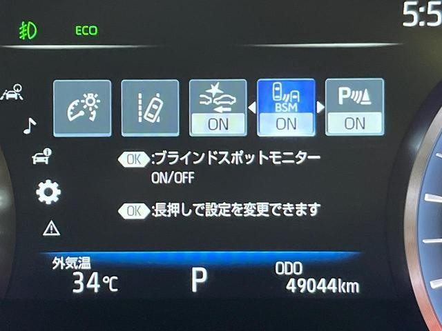 26084590_carP_l_10.jpg