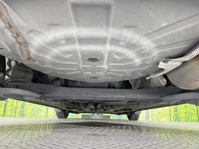 23675256_carP_l_18.jpg