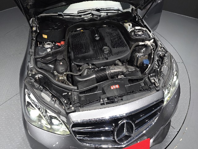 f16fd59f2b5d8cc515bafef7c962557d.jpeg