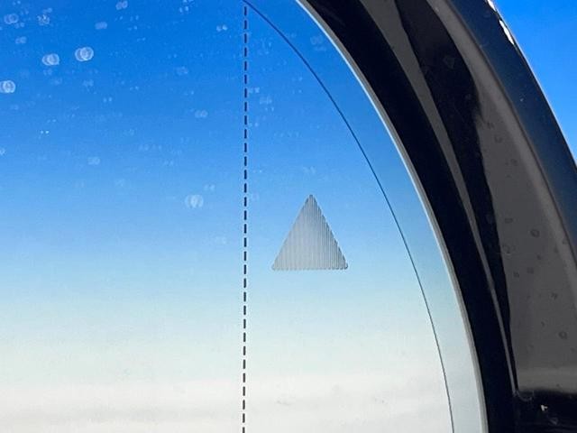 26084597_carP_l_10.jpg