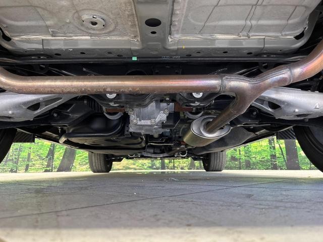 25694544_carP_l_18.jpg