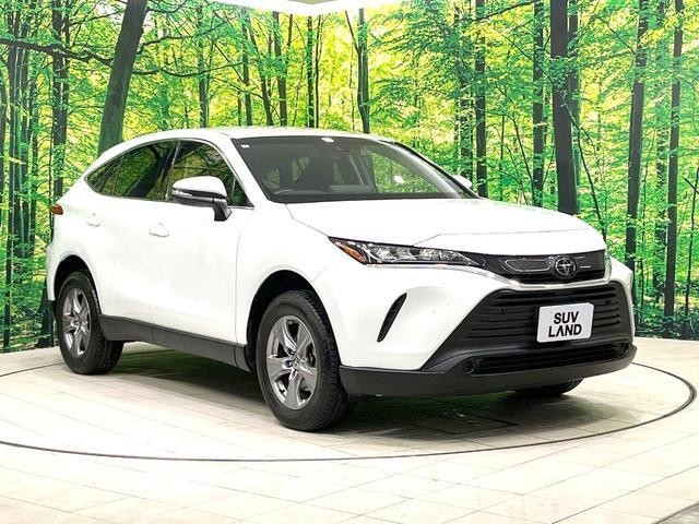 25734666_carP_l_12.jpg