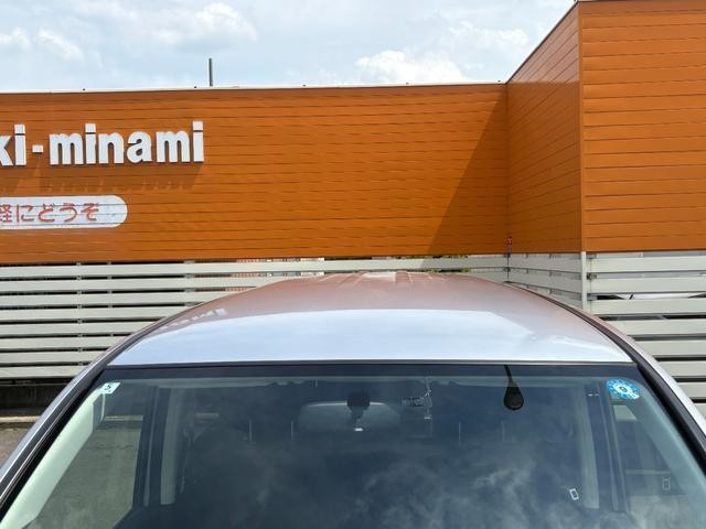 26059050_carP_l_12.jpg