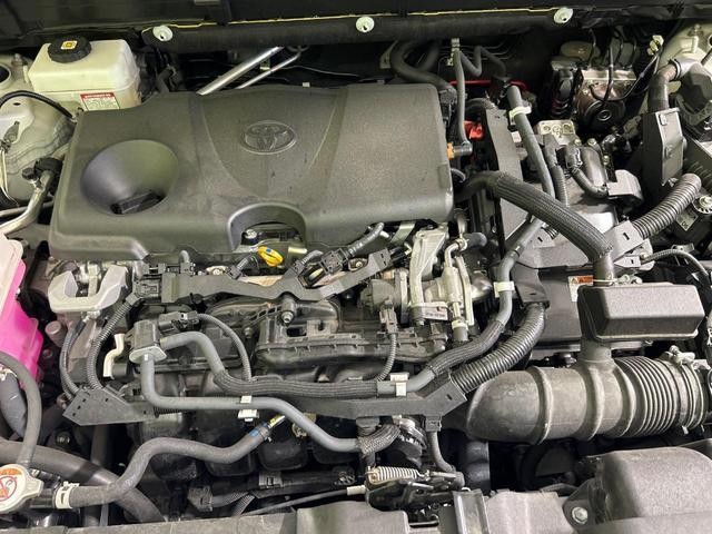 26273028_carP_l_18.jpg