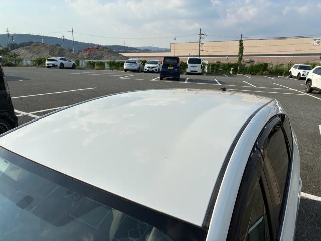 26751866_carP_l_5.jpg