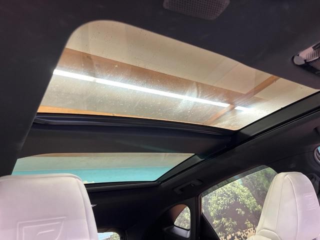 26881913_carP_l_15.jpg