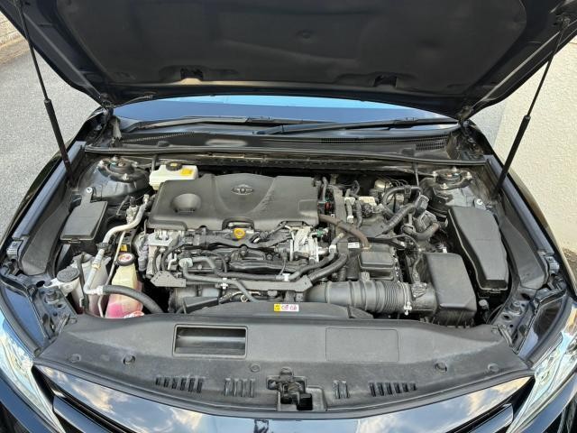 25613704_carP_l_14.jpg