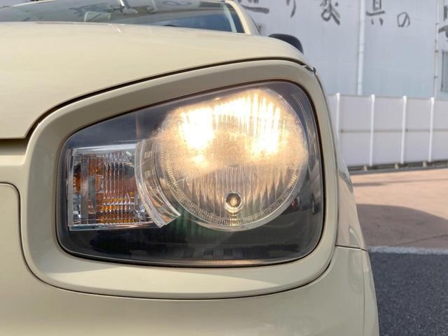 27161609_carP_l_6.jpg