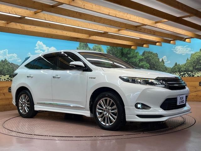 26924583_carP_l_11.jpg