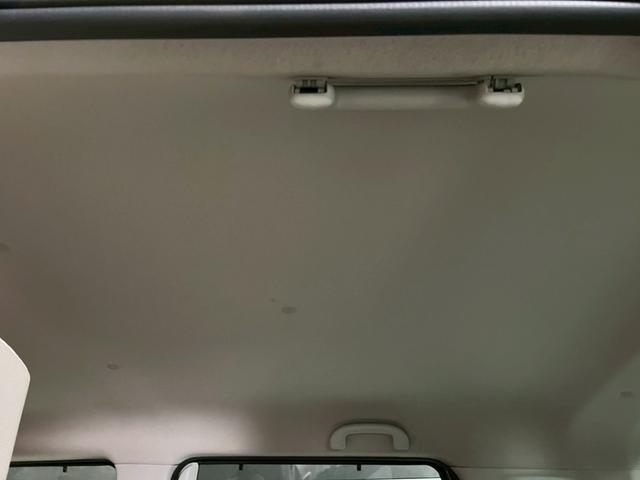 0710163A30260409W00711.jpg