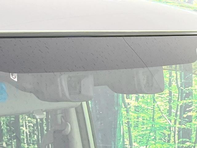 26084784_carP_l_13.jpg