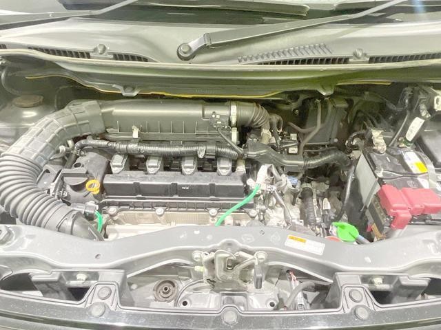 26084784_carP_l_16.jpg
